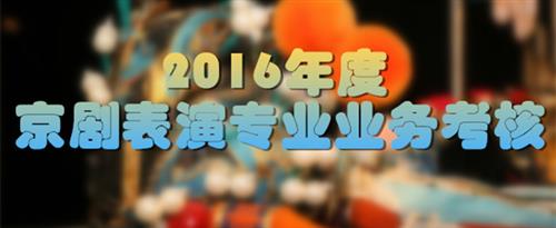 www.操肥逼.com国家京剧院2016年度京剧表演专业业务考...